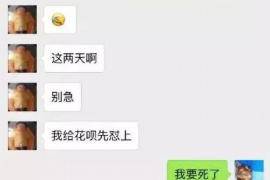 崇仁债务清欠服务